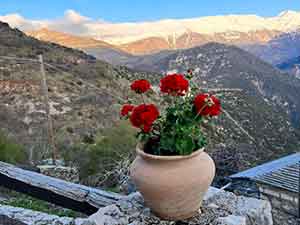 Ξενώνας Πετράδι